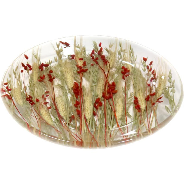 rm101dr_8b46c4cc-c67d-4c18-