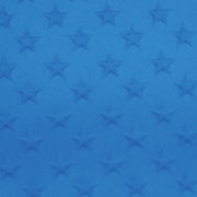 CADDY BAG (CART TYPE) CB-STAR BLUE