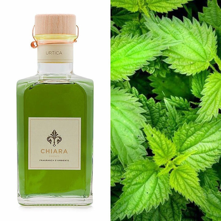 【CHIARA FIRENZE】リードディフーザー 200ml / Urtica＜ウルティカ＞