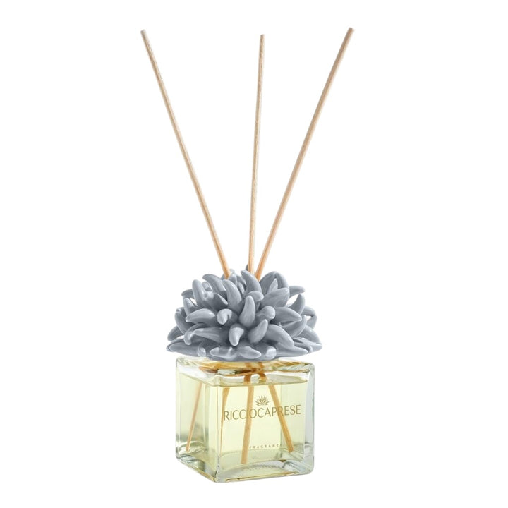 [RICCIOCAPRESE] Anemone/Gray Clear Glass, Medium 