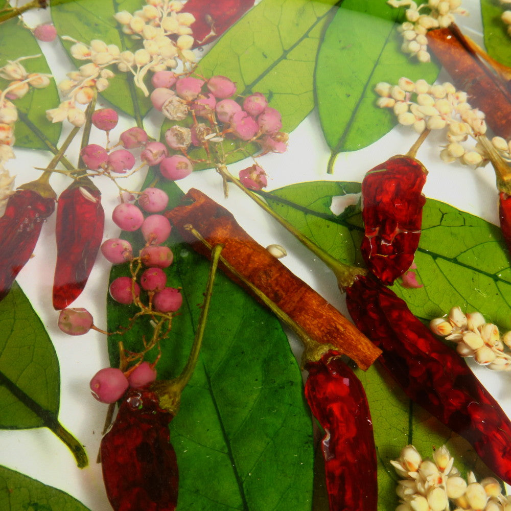 RICCARDO MARZI（リカルド マルツィ） Art.403｜イタリアトスカーナの