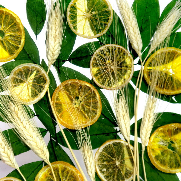 リカルドマルツィ RICCARDO MARZI（リカルド マルツィ） Art.616｜イタリア